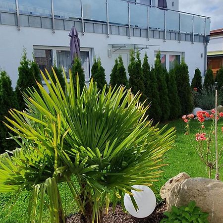 Ferienwohnungen "Godewind", Appartements Mit Balkon Oder Terrasse Zinnowitz Buitenkant foto