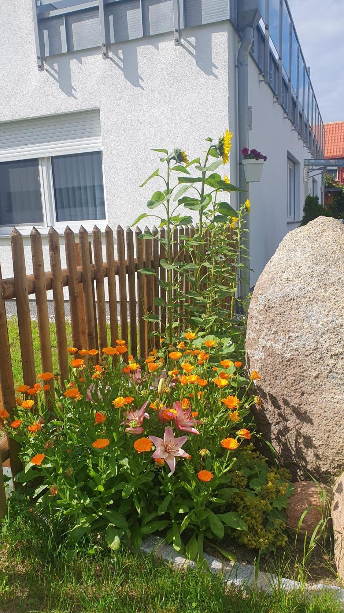 Ferienwohnungen "Godewind", Appartements Mit Balkon Oder Terrasse Zinnowitz Buitenkant foto