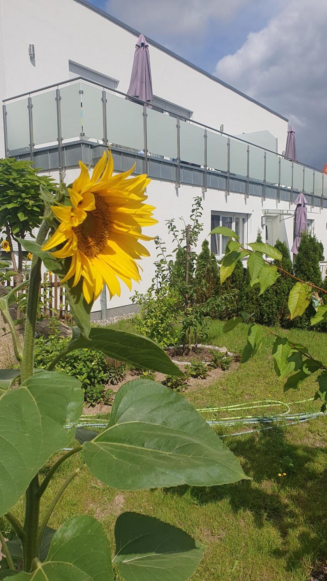 Ferienwohnungen "Godewind", Appartements Mit Balkon Oder Terrasse Zinnowitz Buitenkant foto