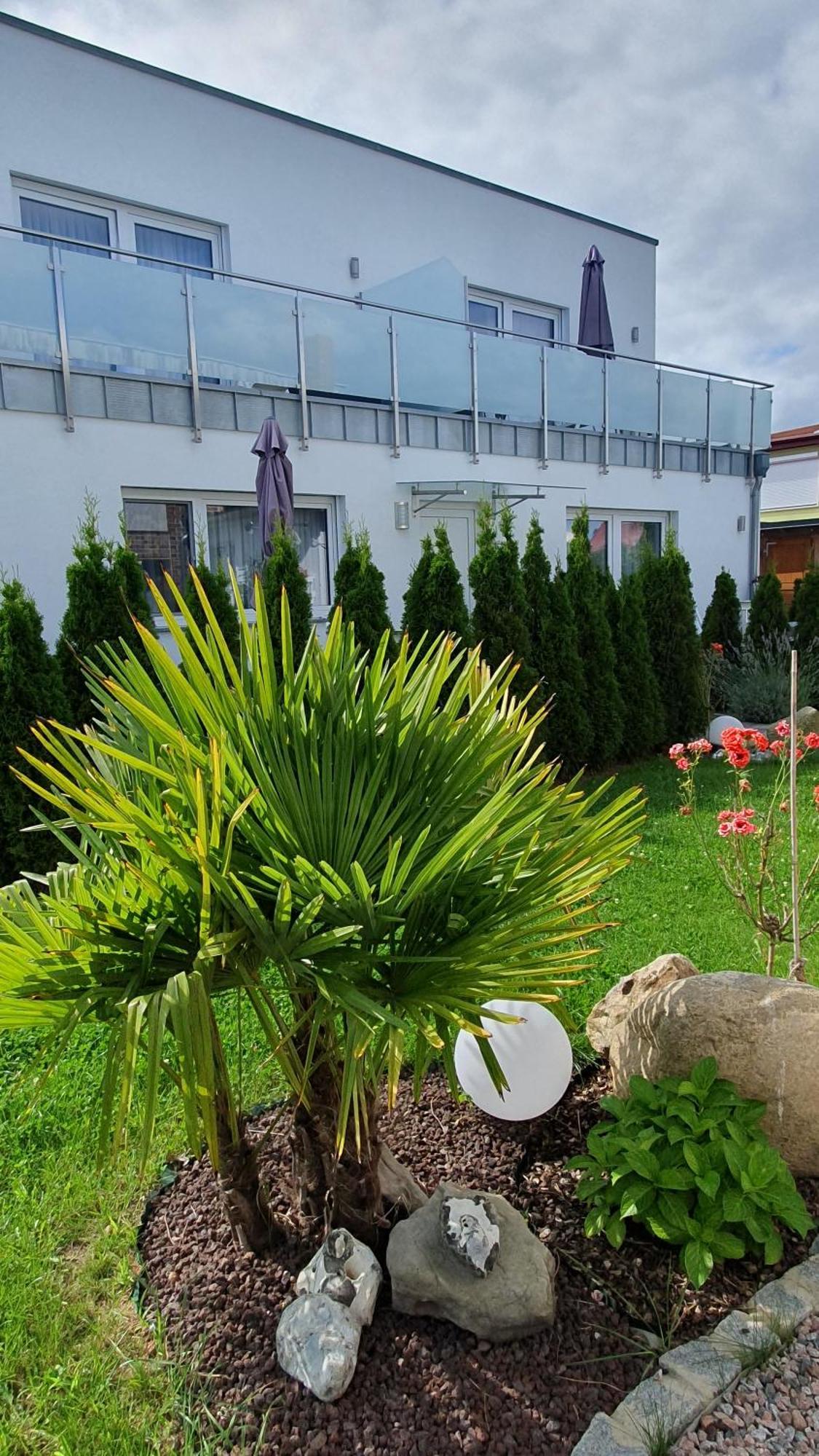 Ferienwohnungen "Godewind", Appartements Mit Balkon Oder Terrasse Zinnowitz Buitenkant foto